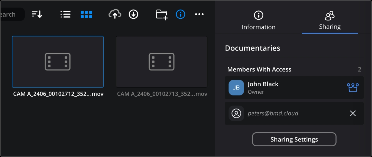 Sharing tab in information pane
