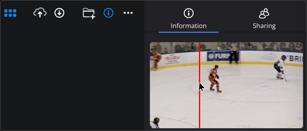 Information pane showing clip thumbnail