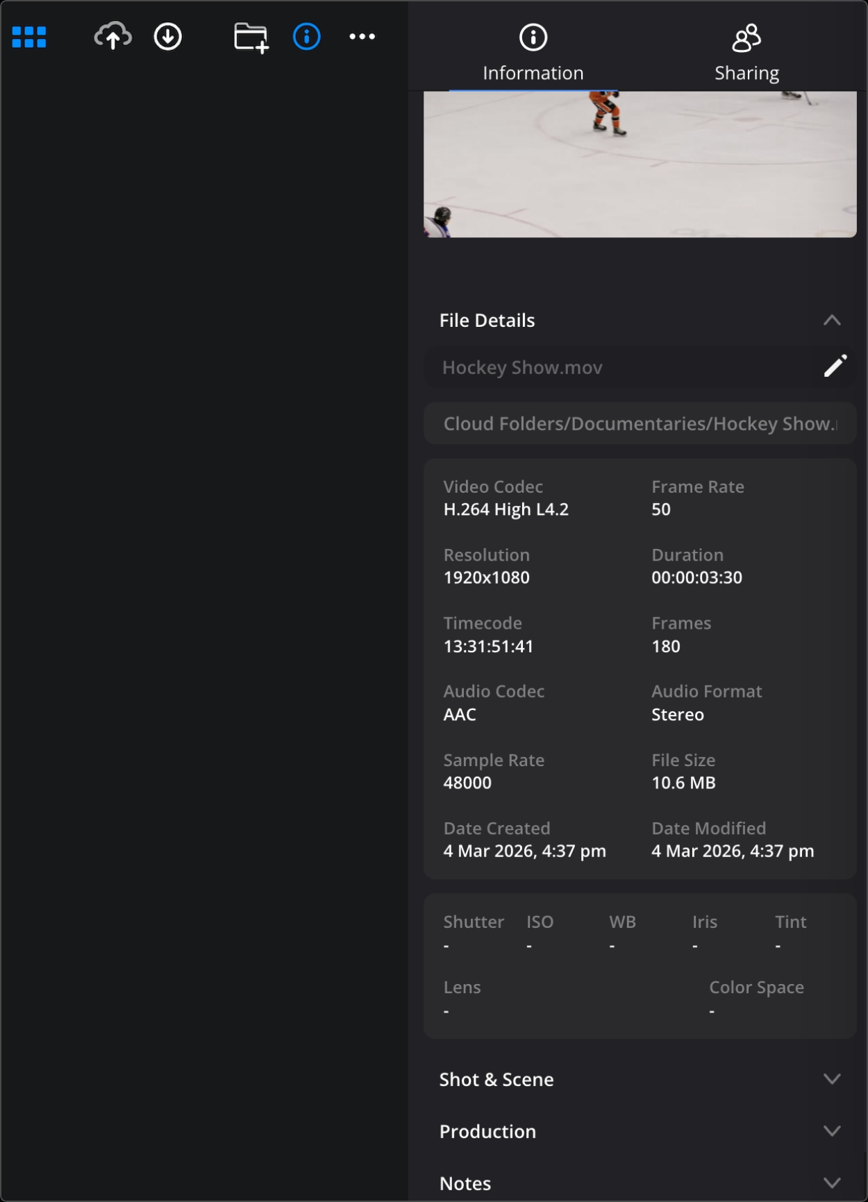 Information pane showing clip metadata