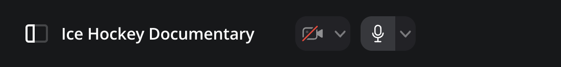 The camera and microphone icons in the upper left of the viewer with a user's video conferencing thumbnail