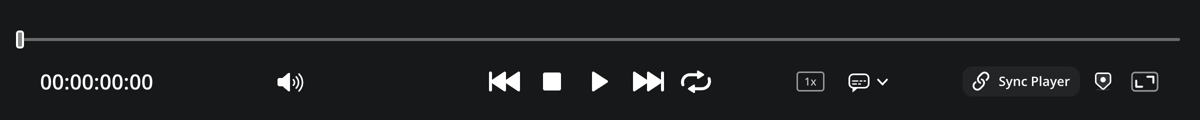 The viewer controls at the bottom of the presentations page showing the jog bar, timecode, volume, playback, loop, speed, subtitles, sync player, add marker and full screen buttons