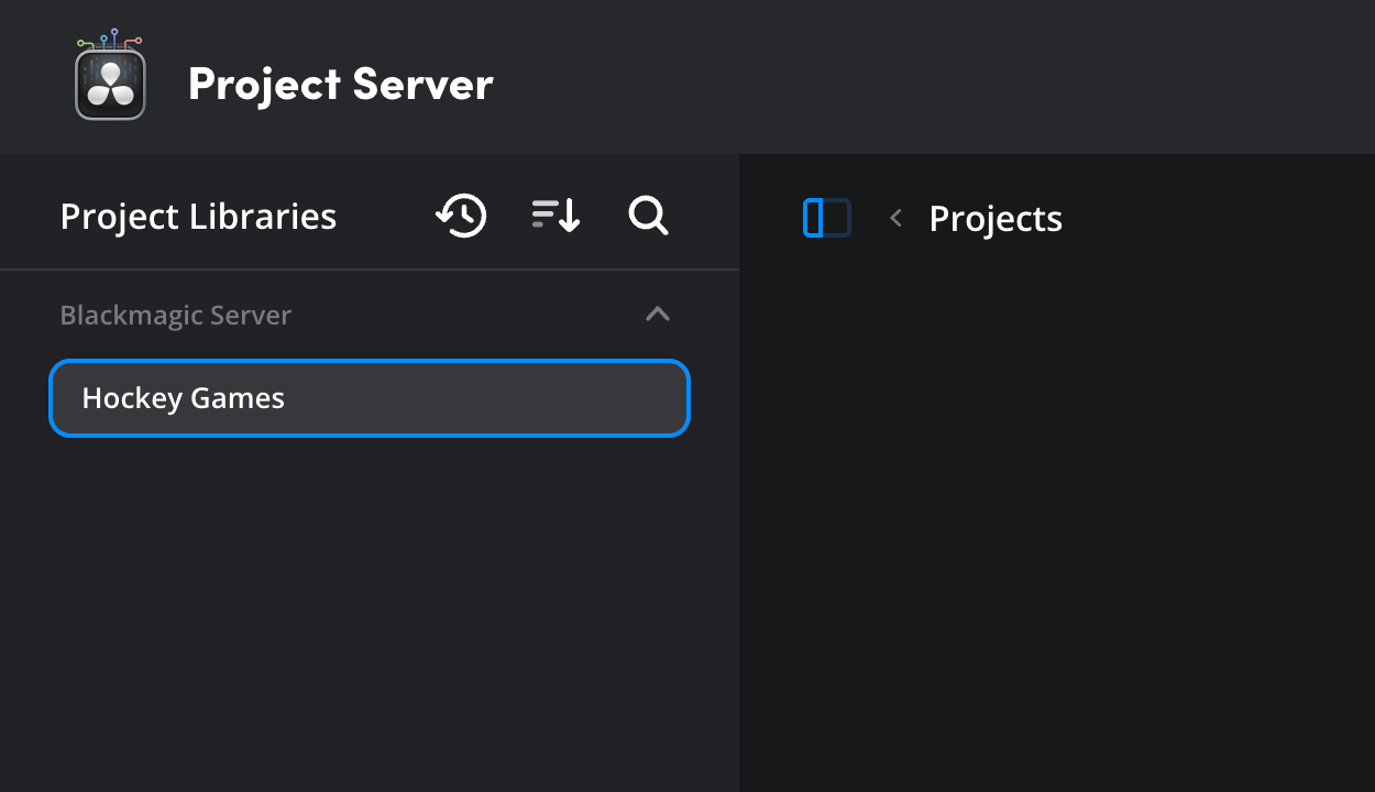 A new project library selected in the project libraries panel of the project server page