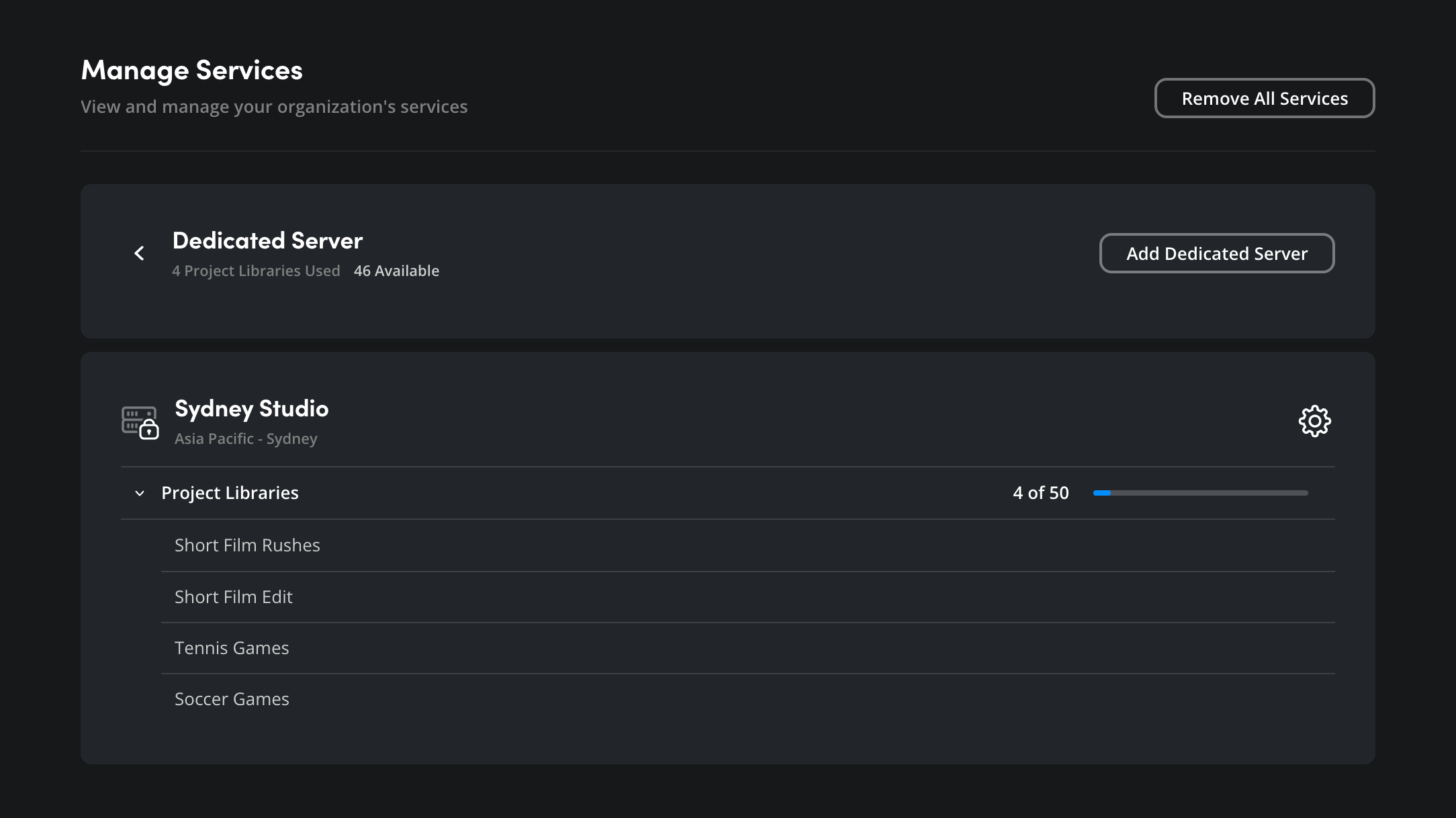 The Dedicated Server page showing current servers with usage and Project Libraries section